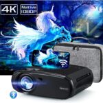 NIKISHAP Projector Review