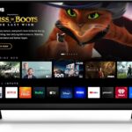 VIZIO 24 inch D Series FHD LED Smart TV Review