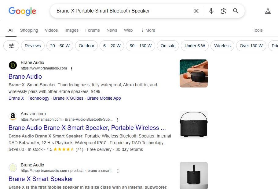 Google Search Results for Brane X Portable Smart Bluetooth Speaker